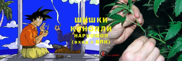 spice Галич