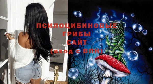 spice Галич